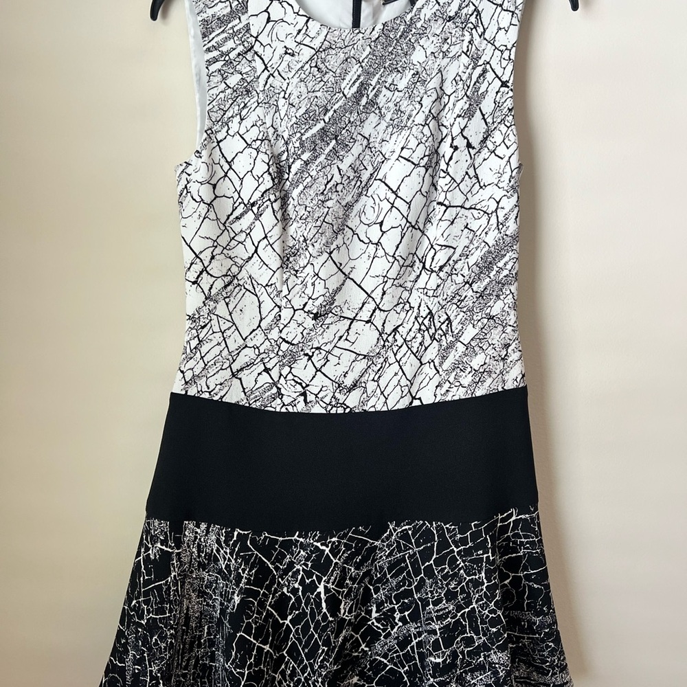 BCBGMaxAzria Black and White Fit and Flare Mini Dress